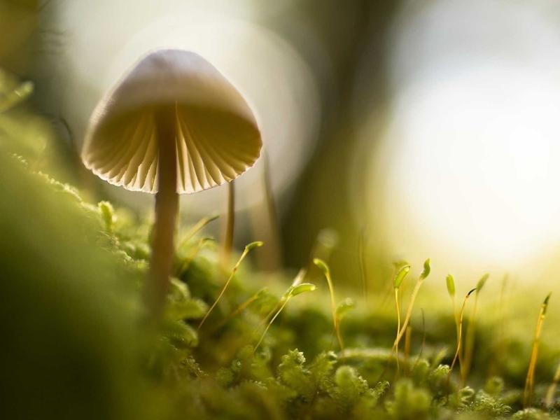 The Remarkable Concepts to Preserve Wisdom
