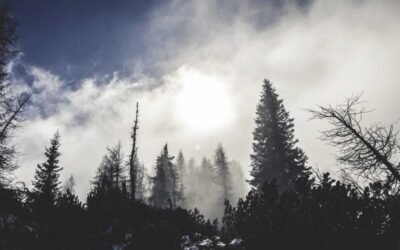 How Photography Simplify Experience in 4 days