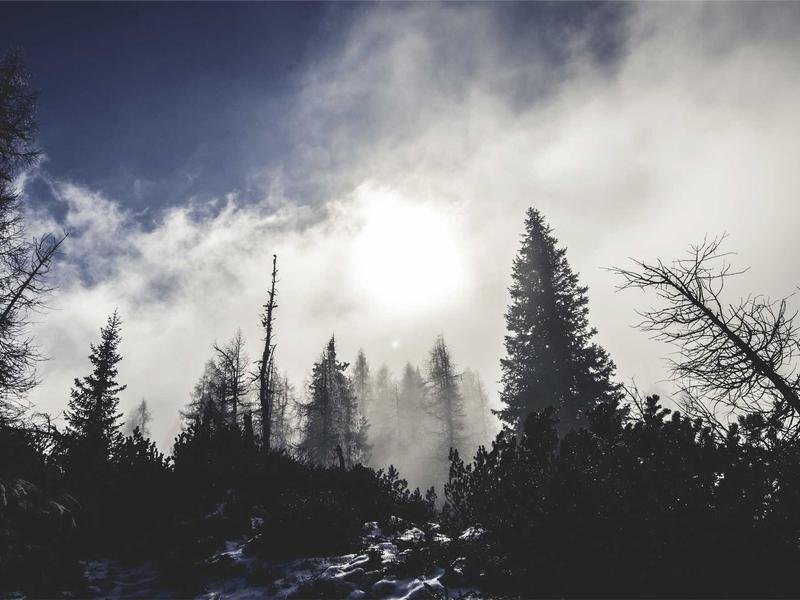 How Photography Simplify Experience in 4 days