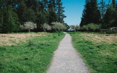 The Fast Tactics to Improve your Planning